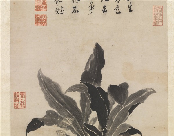 明陳栝畫萬年青　軸