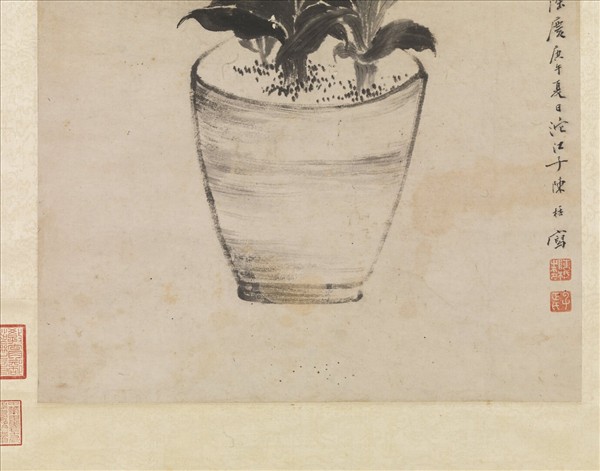 明陳栝畫萬年青　軸