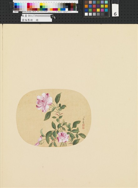 畫幅集冊　冊　清蔣廷錫花卉