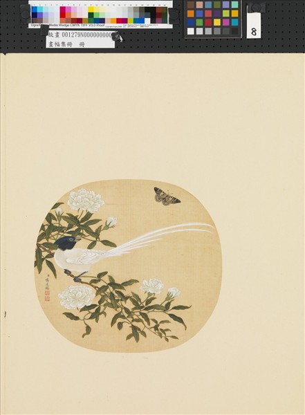 畫幅集冊　冊　清蔣廷錫花卉