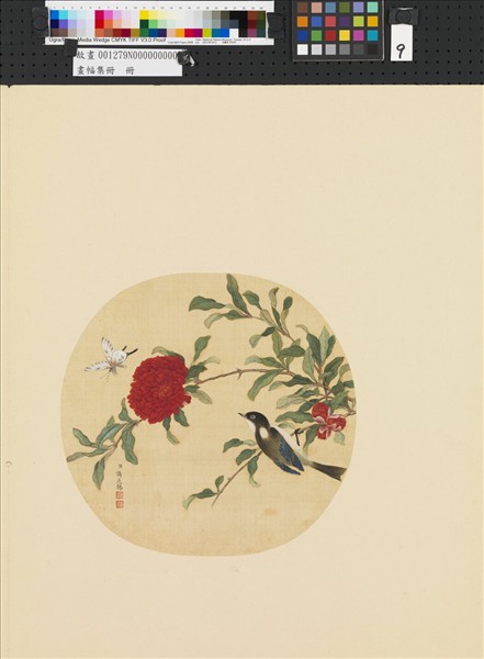 畫幅集冊　冊　清蔣廷錫花卉