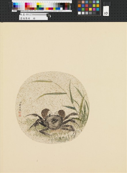 畫幅集冊　冊　清蔣廷錫花卉