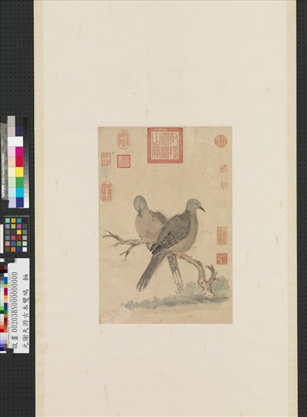 元謝天游古木雙鳩　軸　　　　　　　　　