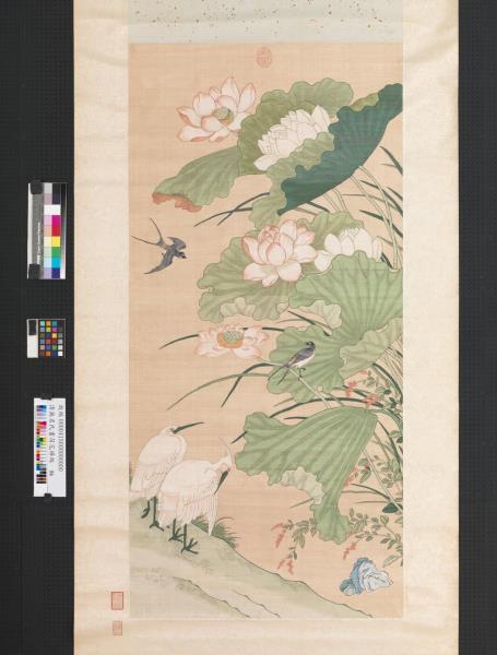 清無名氏畫荷花緙絲　軸