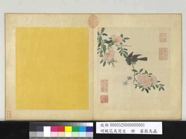 明織花鳥寫生　冊　薔薇鳥蟲