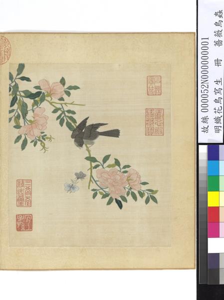 明織花鳥寫生　冊　薔薇鳥蟲