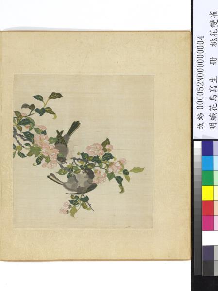 明織花鳥寫生　冊　桃花雙雀