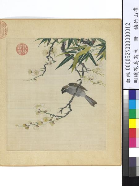明織花鳥寫生　冊　梅竹山雀