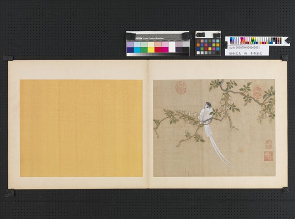 繡繪花鳥　冊　壽帶藤花