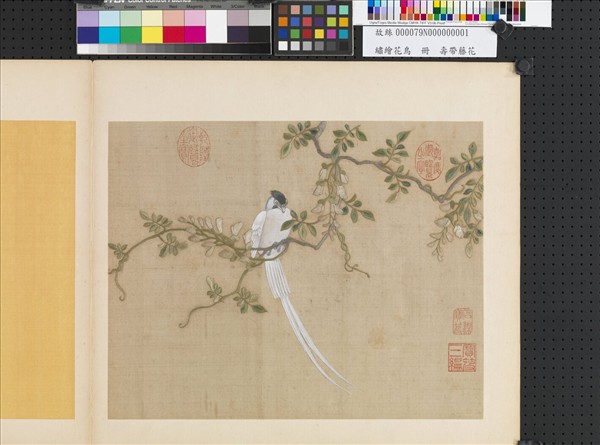 繡繪花鳥　冊　壽帶藤花