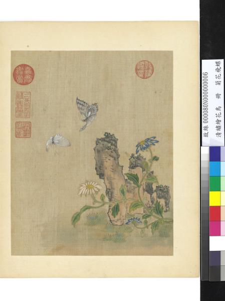 清繡繪花鳥　冊　菊花飛蝶