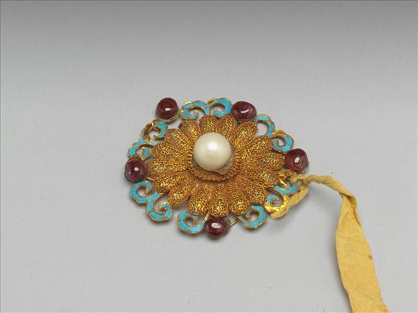 金纍絲菊花結子