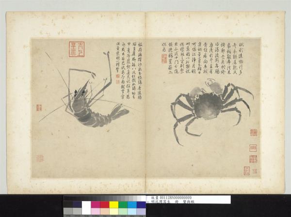 明沈周寫生　冊　蟹與蝦