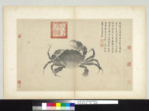 明沈周寫生　冊　蝤蛑