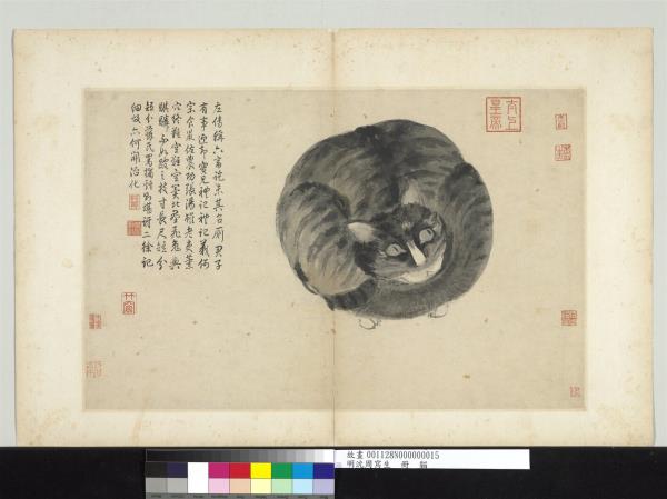 明沈周寫生　冊　貓