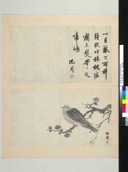 明沈周寫意　冊　梅鳩圖