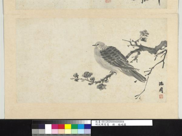 明沈周寫意　冊　梅鳩圖