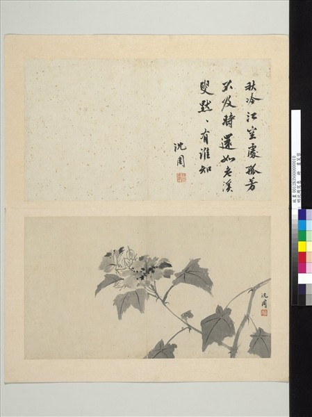 明沈周寫意　冊　畫芙蓉