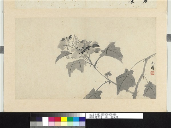 明沈周寫意　冊　畫芙蓉