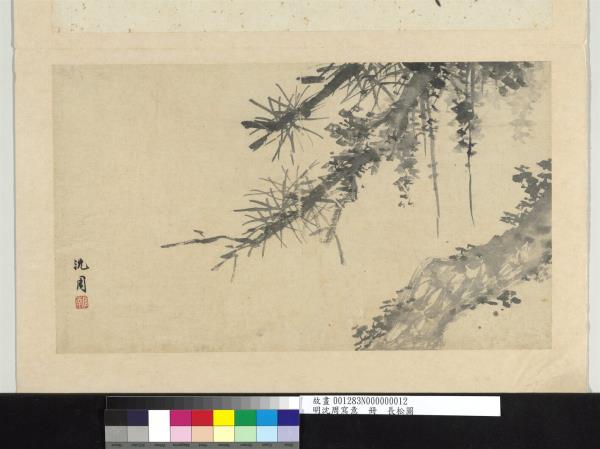 明沈周寫意　冊　長松圖