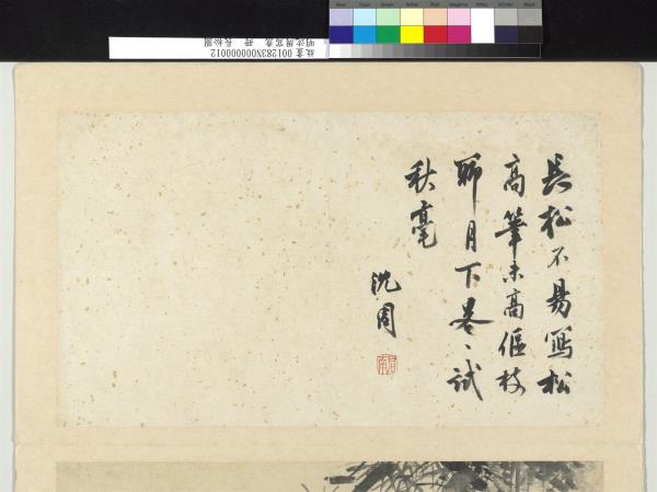 明沈周寫意　冊　長松圖