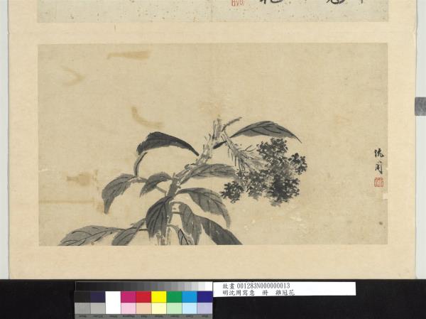 明沈周寫意　冊　雞冠花