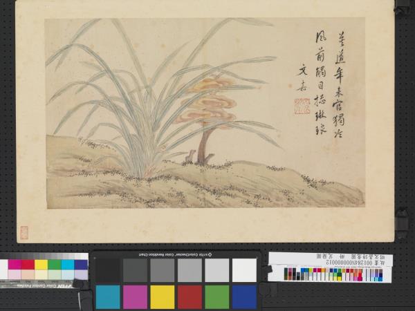 明文嘉詩意圖　冊　芝蘭圖