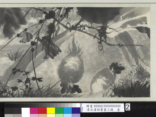 清石濤詩書畫三絕　卷