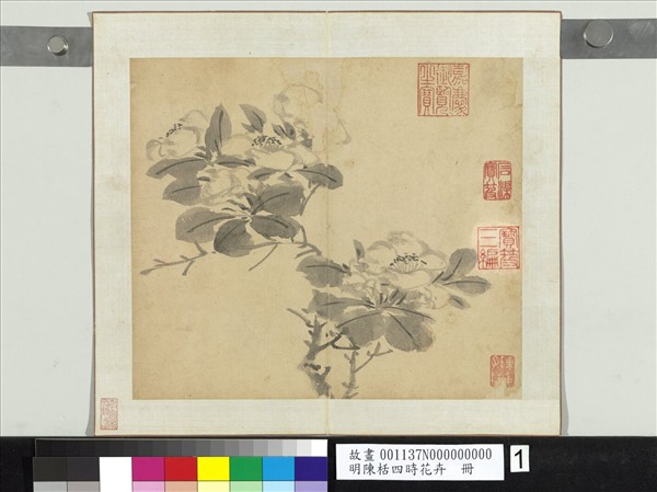 明陳栝四時花卉　冊　山茶