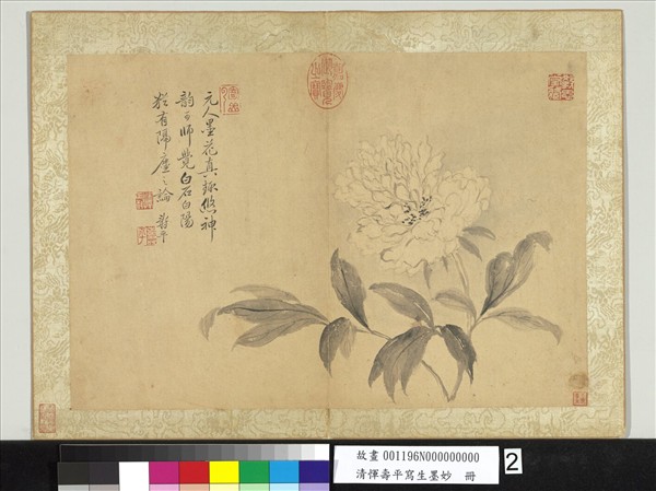 清惲壽平寫生墨妙　冊　牡丹