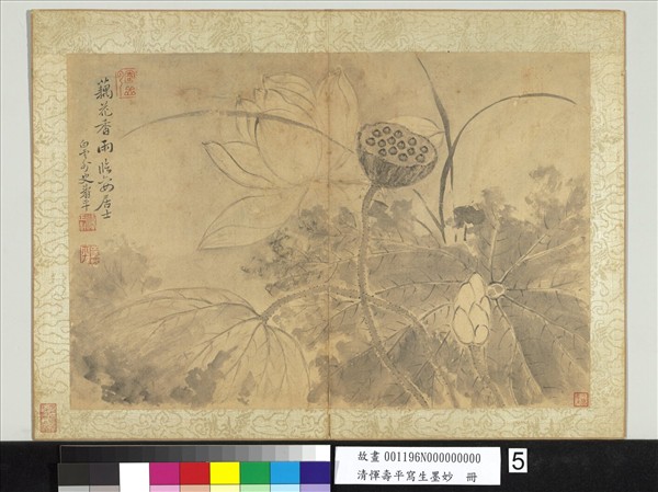 清惲壽平寫生墨妙　冊　荷花