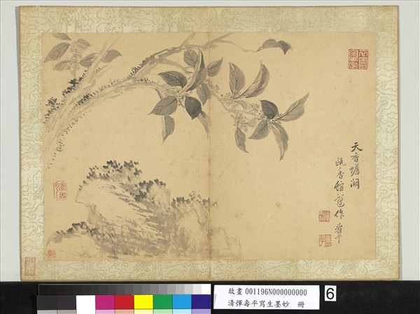 清惲壽平寫生墨妙　冊　天香蟾闕