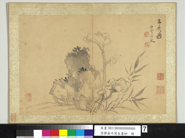 清惲壽平寫生墨妙　冊　三秀圖