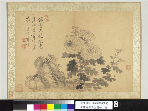 清惲壽平寫生墨妙　冊　菊花