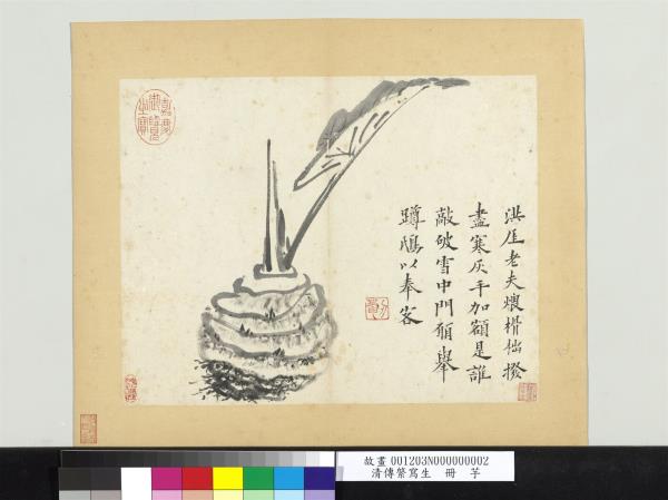 清傳綮寫生　冊　芋