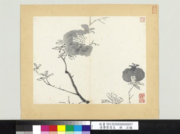 清傳綮寫生　冊　石榴