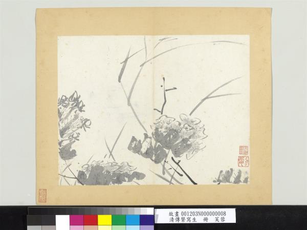 清傳綮寫生　冊　芙蓉