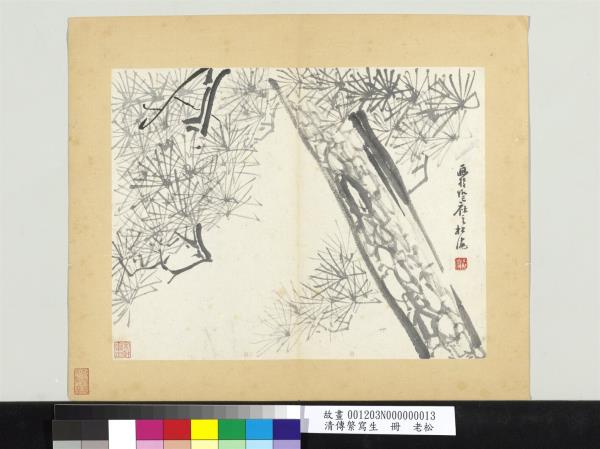 清傳綮寫生　冊　老松