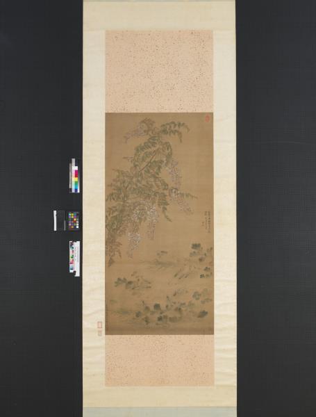 清惲壽平魚藻圖　軸