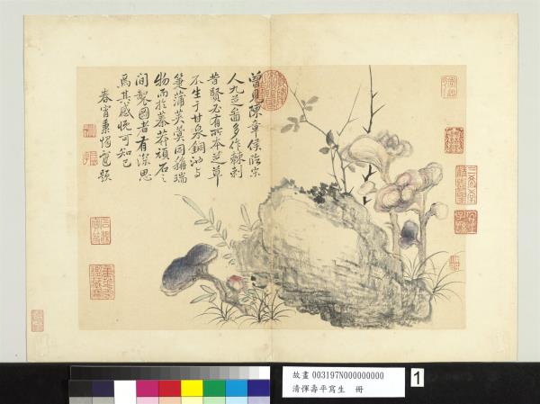 清惲壽平寫生冊芝草- 故宮