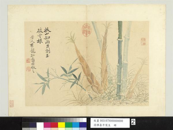 清惲壽平寫生　冊　竹筍