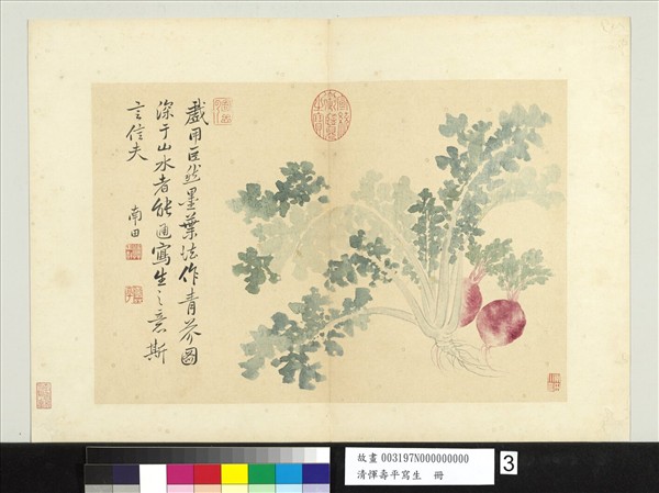 清惲壽平寫生　冊　青芥