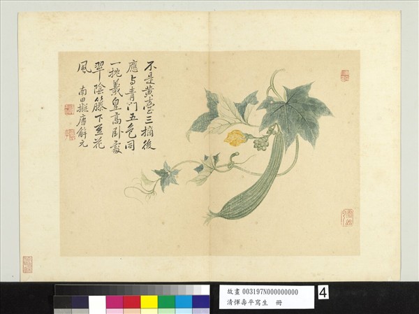 清惲壽平寫生　冊　瓜蔓