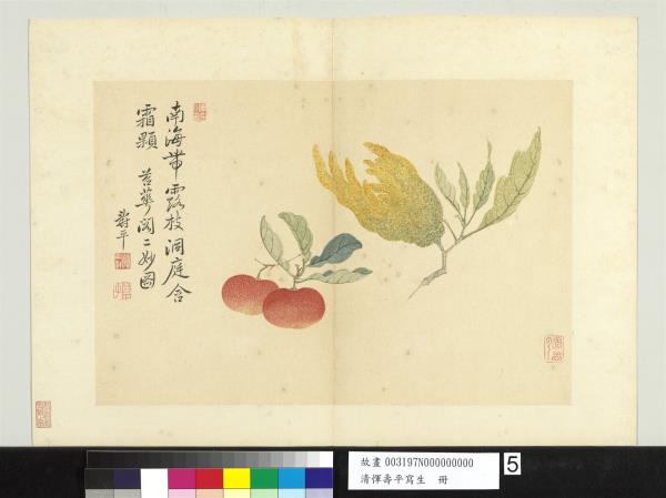 清惲壽平寫生　冊　佛手朱橘