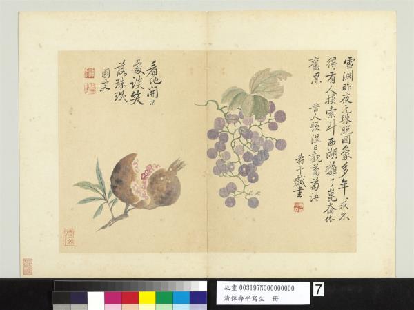 清惲壽平寫生冊葡萄石榴- 故宮