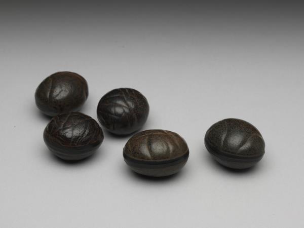 癭木蕉葉盤 附果核五顆