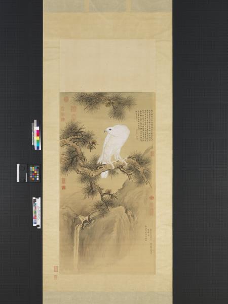 清郎世寧白鶻圖　軸