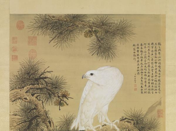 清郎世寧白鶻圖　軸