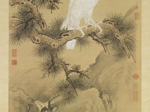 清郎世寧白鶻圖　軸