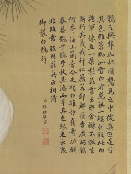 清郎世寧白鶻圖　軸